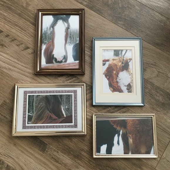 Four Vintage Equestrian Aesthetic Metal Frame + Photos Lot - Picture 2 of 15